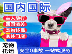 莫力达瓦旗航空快运国际宠物托运 【国